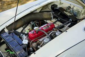 Bild 13/43 von MG MGA 1500 (1956)
