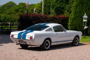 Bild 15/50 von Ford Shelby GT 350 (1965)