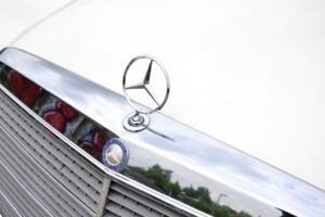 Bild 11/21 von Mercedes-Benz 280 SE (1985)
