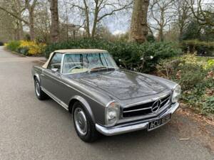 Afbeelding 45/50 van Mercedes-Benz 280 M-SL (1964)
