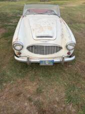 Bild 14/22 von Austin-Healey 3000 Mk II (BN7) (1960)