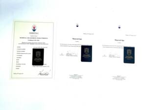 Image 7/50 of Maserati Indy 4900 (1971)