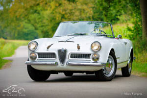 Image 21/55 of Alfa Romeo 2000 Spider (1959)