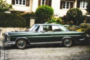 Bild 1/9 von Mercedes-Benz 250 SE (1966)