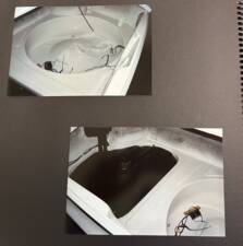 Image 72/87 of Alfa Romeo Giulia 1600 Sprint GT (1965)