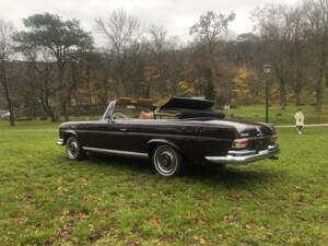 Bild 41/45 von Mercedes-Benz 280 SE (1969)