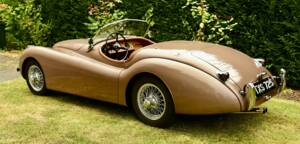 Image 10/50 de Jaguar XK 120 OTS (1950)