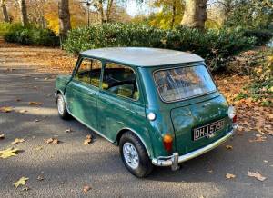 Immagine 29/48 di Austin Mini Cooper S 1275 (1964)