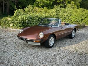 Image 28/100 of Alfa Romeo 2000 Spider Veloce (1980)