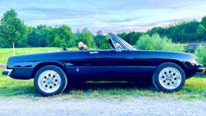 Bild 2/16 von Alfa Romeo 2000 Spider Veloce (1981)
