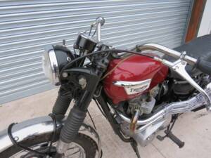 Immagine 6/41 di Triumph TR 6 C Trophy (1969)