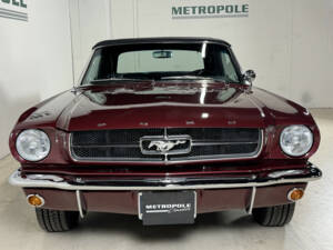 Immagine 13/25 di Ford Mustang 260 (1965)
