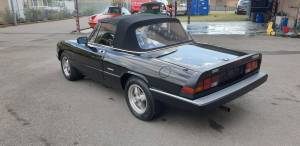 Image 3/32 of Alfa Romeo Spider Veloce (1987)