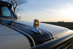 Image 5/47 of Nissan Patrol (1983)