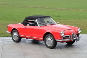 Bild 4/50 von Alfa Romeo Giulia 1600 Spider Veloce (1965)