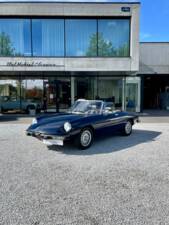 Bild 22/22 von Alfa Romeo 2000 Spider Veloce (1979)