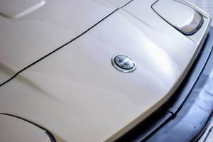 Immagine 37/50 di Triumph TR 8 (1980)