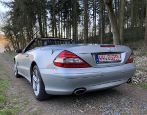 Bild 6/18 von Mercedes-Benz SL 350 (2008)