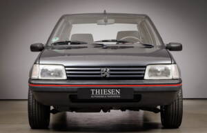 Imagen 5/28 de Peugeot 205 GTi 1.9 (1991)