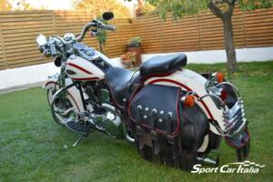 Immagine 5/50 di Harley-Davidson FLSTS 1340 Heritage Springer (1998)