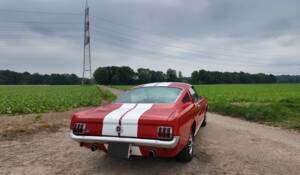 Bild 8/11 von Ford Mustang 289 (1965)