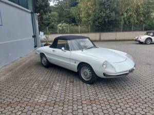 Immagine 4/23 di Alfa Romeo 1750 Spider Veloce (1968)