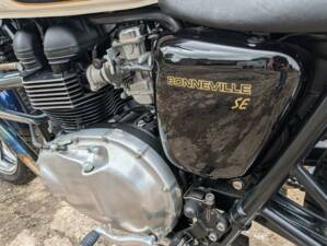 Bild 24/24 von Triumph DUMMY (2009)