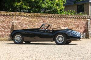 Immagine 44/50 di Jaguar XK 120 DHC (1953)