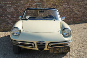 Bild 5/50 von Alfa Romeo 1600 Spider Duetto (1967)