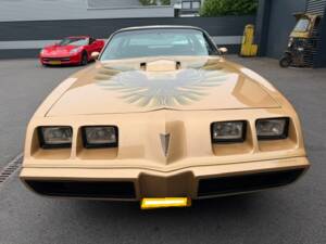 Image 3/21 of Pontiac Firebird TransAm (1979)