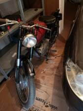 Bild 43/50 von Gilera 150 Sport (1952)