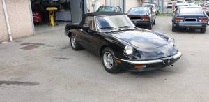 Bild 1/32 von Alfa Romeo Spider Veloce (1987)