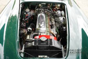 Afbeelding 4/50 van Austin-Healey 3000 Mk III (BJ8) (1966)