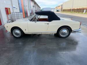 Bild 10/100 von Alfa Romeo Giulia 1600 Spider (1962)