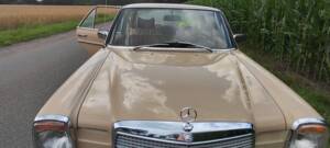 Bild 40/59 von Mercedes-Benz 230&#x2F;4 (1974)