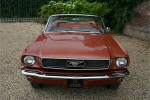 Bild 7/50 von Ford Mustang 289 (1966)