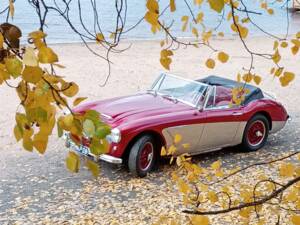 Immagine 1/23 di Austin-Healey 3000 Mk II (BJ7) (1964)