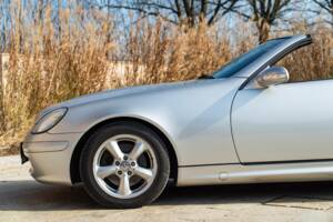 Image 14/48 of Mercedes-Benz SLK 320 (2001)