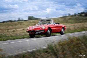 Afbeelding 34/37 van Alfa Romeo 1600 Spider Duetto (1966)