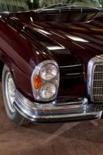 Bild 35/47 von Mercedes-Benz 280 SE (1970)