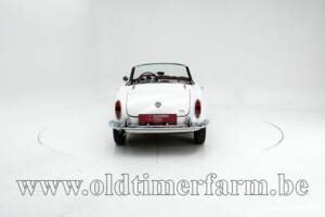 Bild 7/30 von Alfa Romeo Giulia 1600 Spider Veloce (1965)
