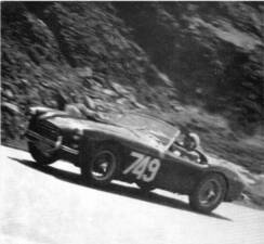 Imagen 2/40 de AC Ace Bristol (1956)