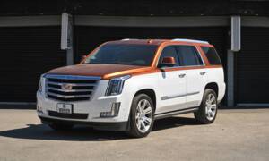 Bild 1/50 von Cadillac Escalade (2019)