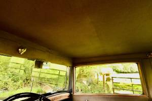 Image 21/50 of Cadillac Series 353 (1930)