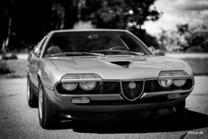 Afbeelding 45/45 van Alfa Romeo Montreal (1972)