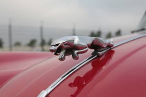 Image 13/84 of Jaguar XK 150 SE DHC (1958)