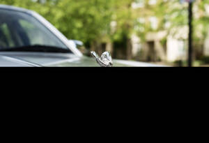 Image 8/31 of Rolls-Royce Silver Seraph (2002)