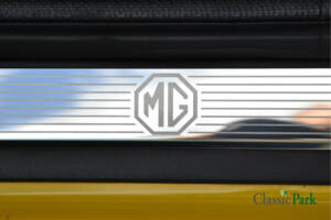 Bild 31/50 von MG F Trophy 160 (2010)