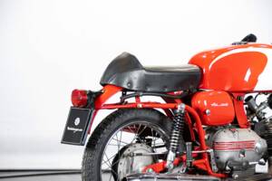 Image 24/50 of Aermacchi DUMMY (1964)