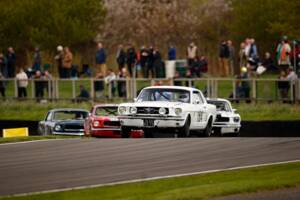 Image 2/20 de Ford Mustang Notchback (1965)